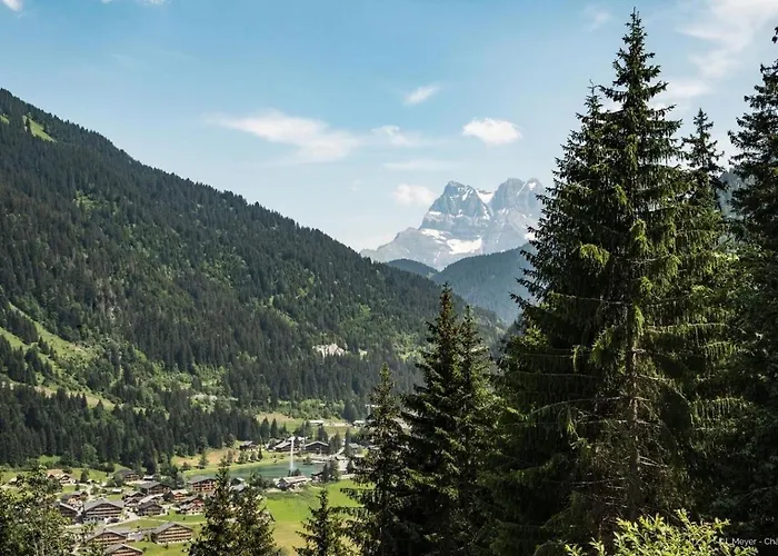 Jonquilles Jqm2 Sunny & View 4 Pers 公寓