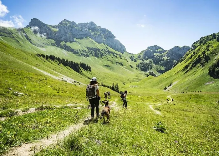 Jonquilles Jqm2 Sunny & View 4 Pers *